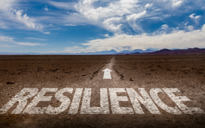 Financial Resilience